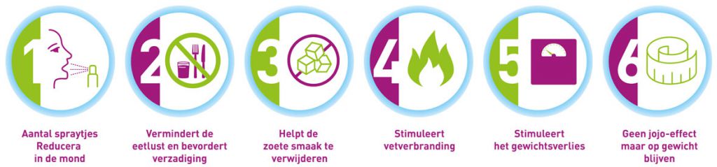 Reducera.nl | De kracht van reducera samengevat